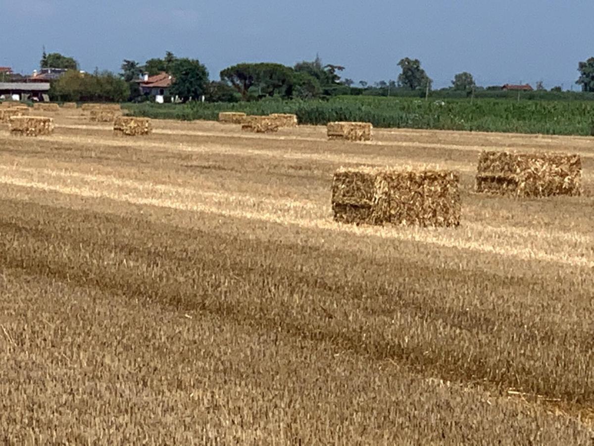 Agriturismo Ca' Alleata 卡奥莱 外观 照片